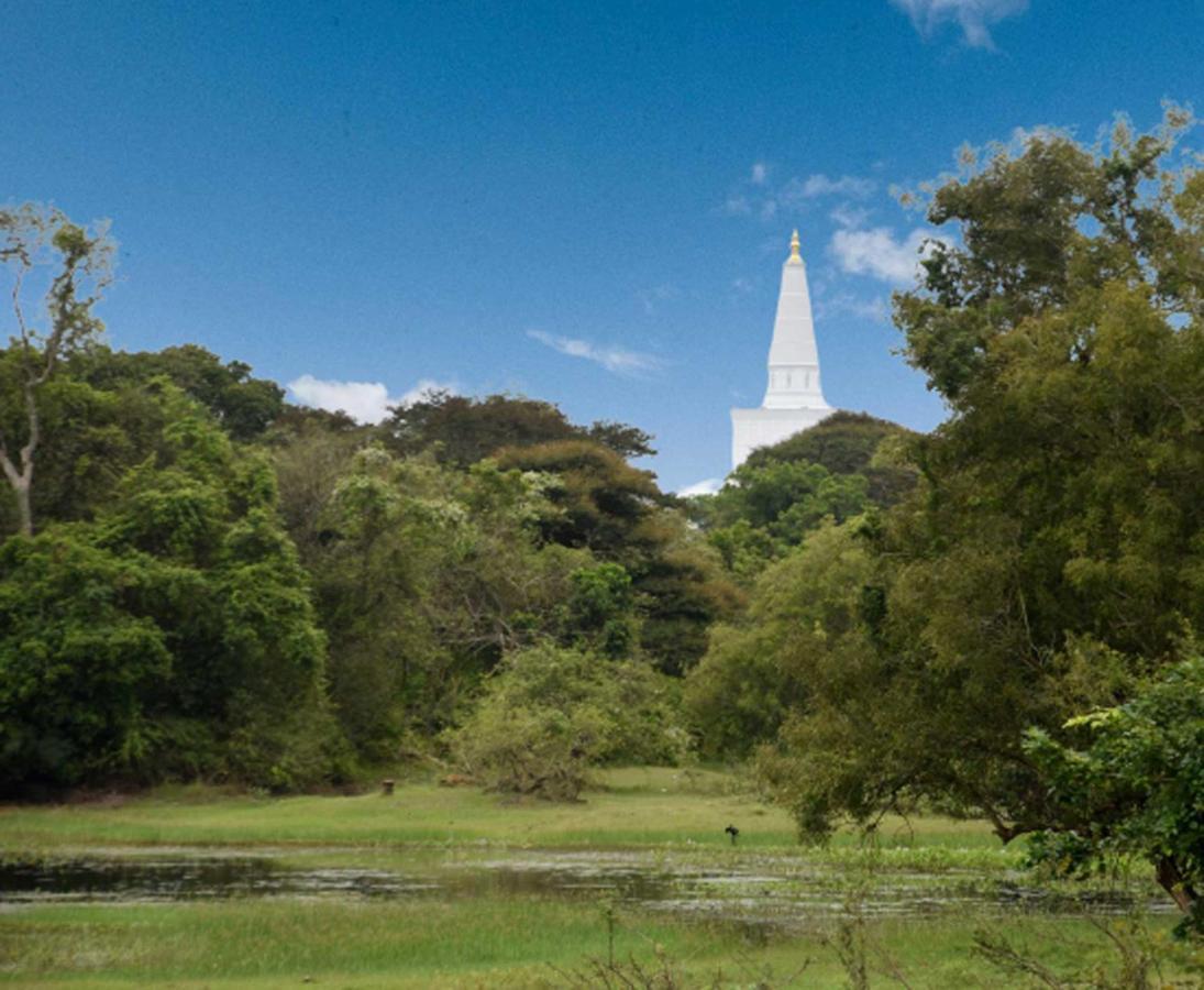 Dula Lake Resort Anuradhapura Exterior foto